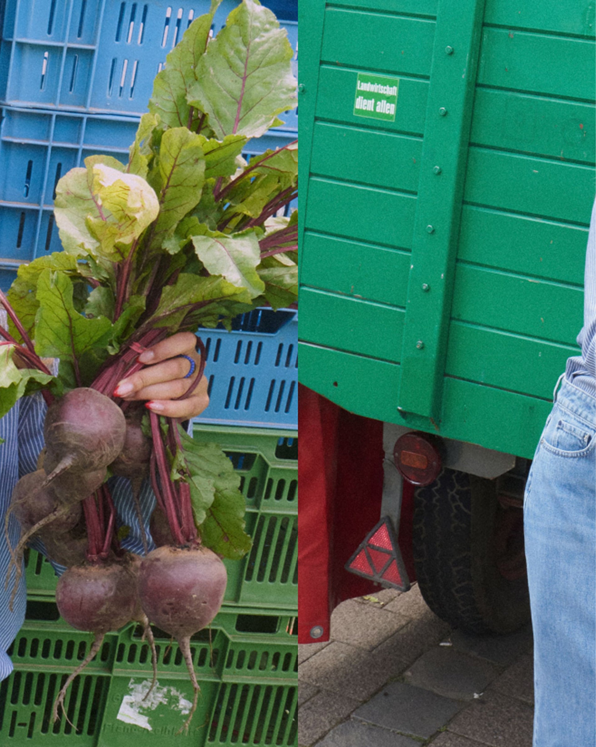 Frisch gepfügte Radieschen. Klicke hier um mehr darüber zu erfahren, wie du Plastikverbruach reduzieren kannst.