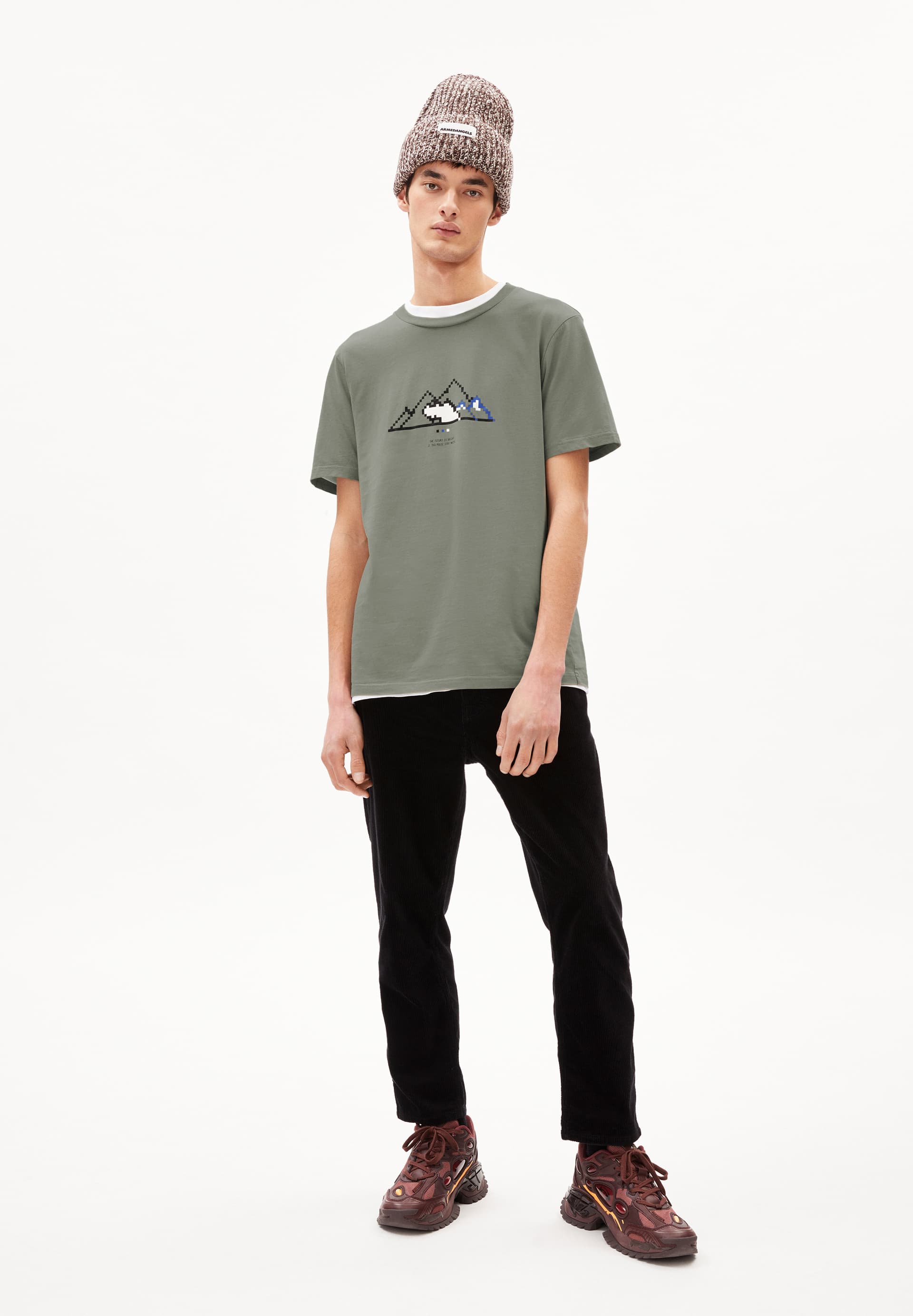 JAAMES PIXXEL MOUNTAIN T-Shirt Regular Fit van Bio katoen