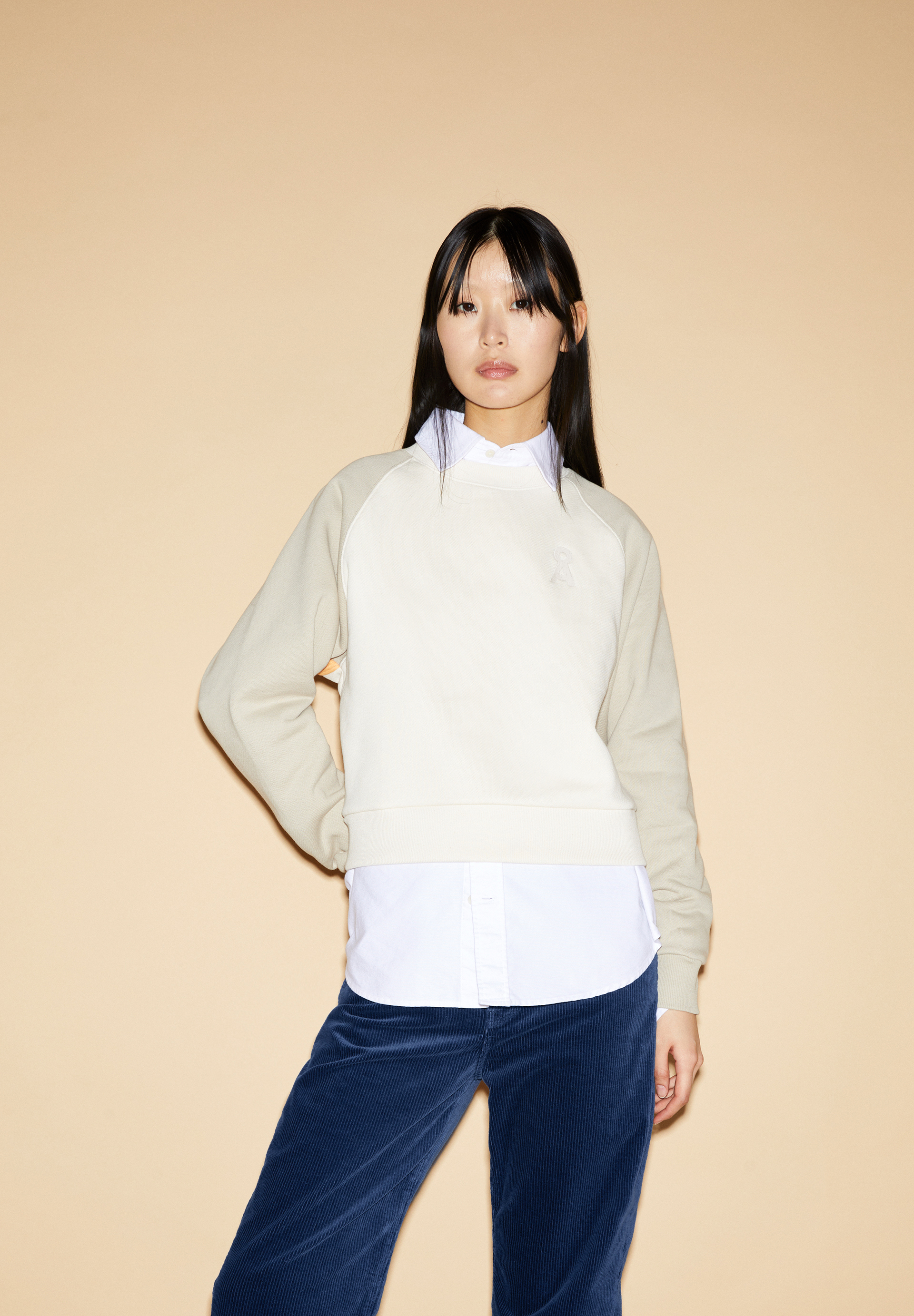 AALLY GAL COLORBLOCK Sweatshirt Regular Fit aus Bio-Baumwolle